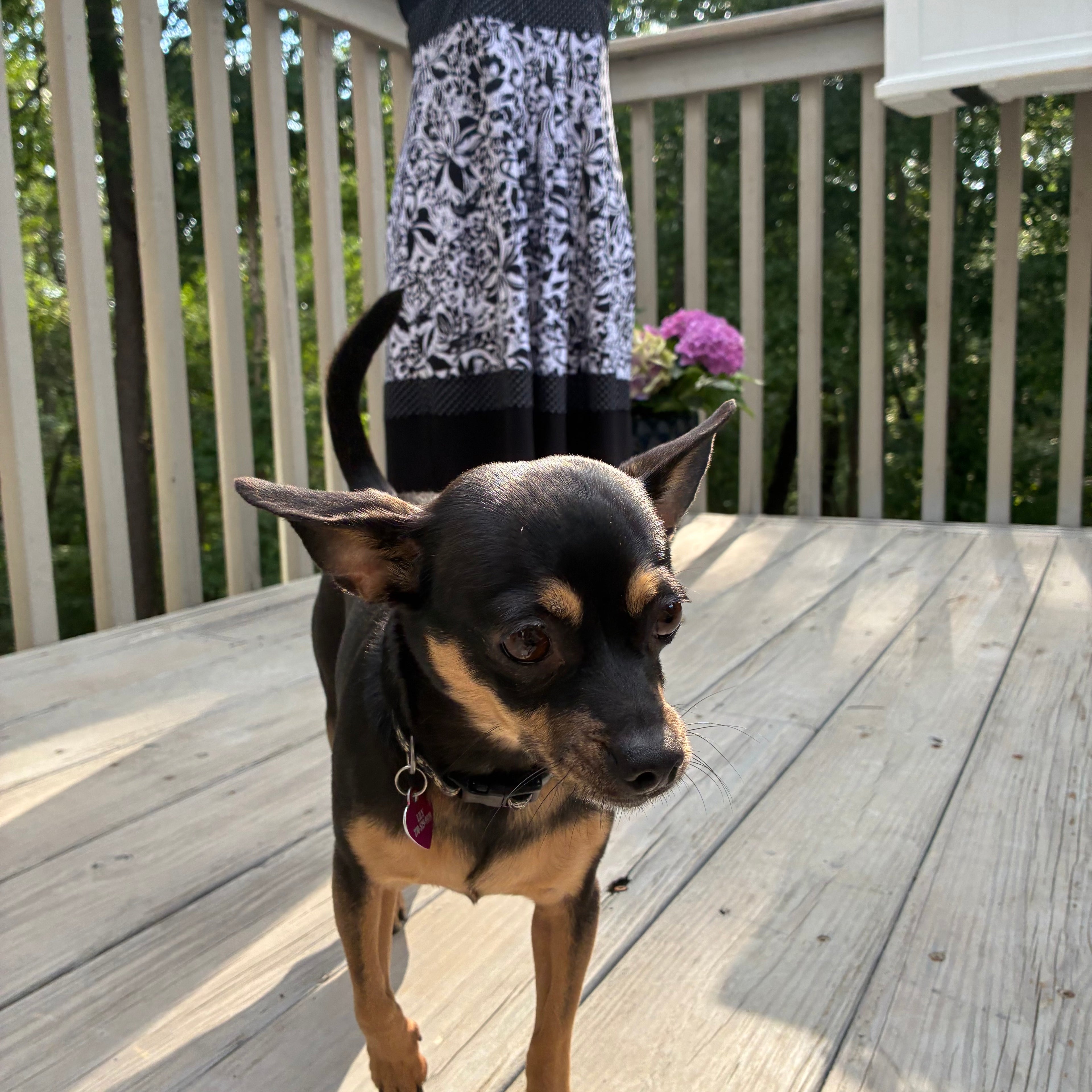 Vintage 90s polka dot floral summer dress